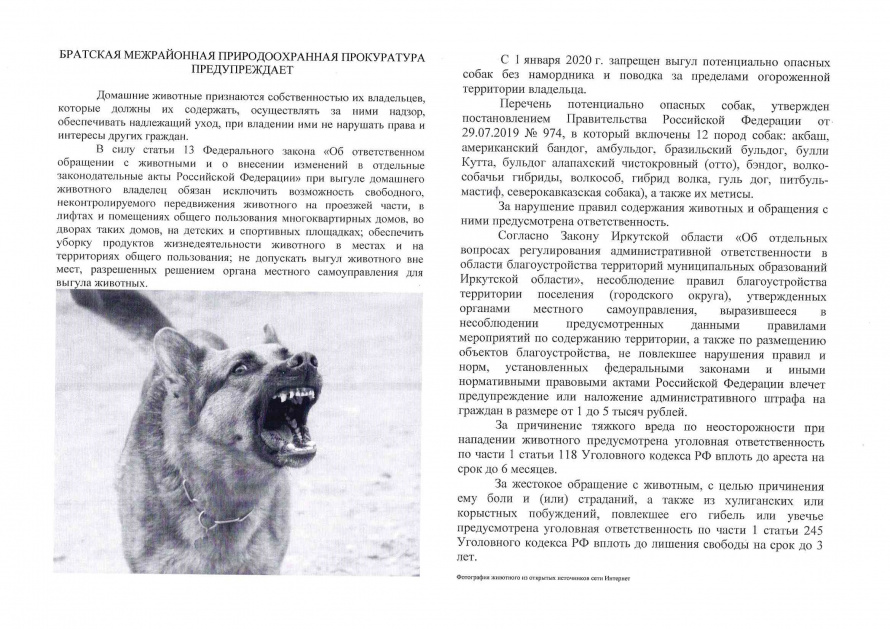 БРАТСКАЯ МЕЖРАЙОННАЯ ПРИРОДООХРАННАЯ ПРОКУРАТУРА ПРЕДУПРЕЖДАЕТ 